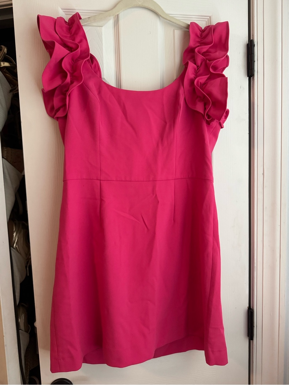 NWT French Connection ruffle sleeve dress